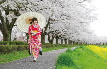 桜ロケーション