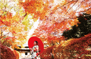 紅葉ロケーション